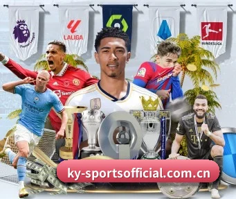 开云体育 APP | KaiyunSports